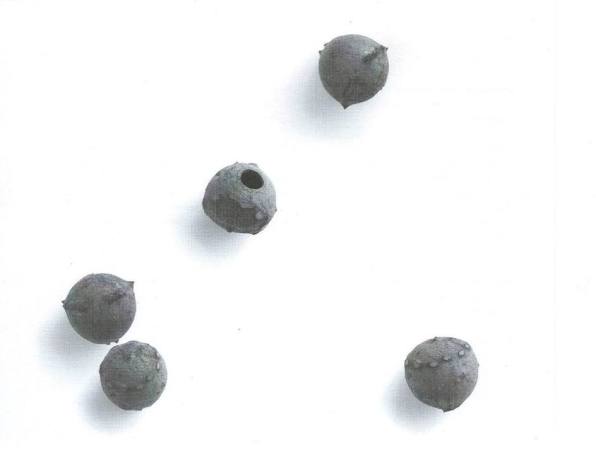 Sectores carrabouxos