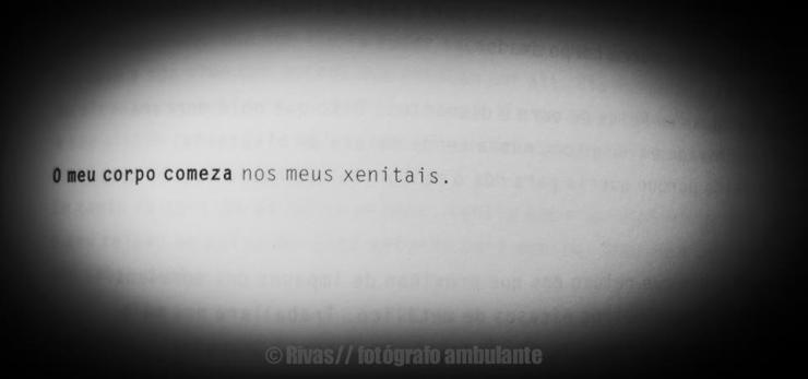 11391270_391686437683623_385727827376061549_n