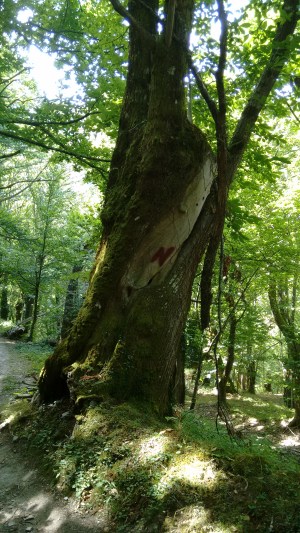 IMG_20160831_140459941