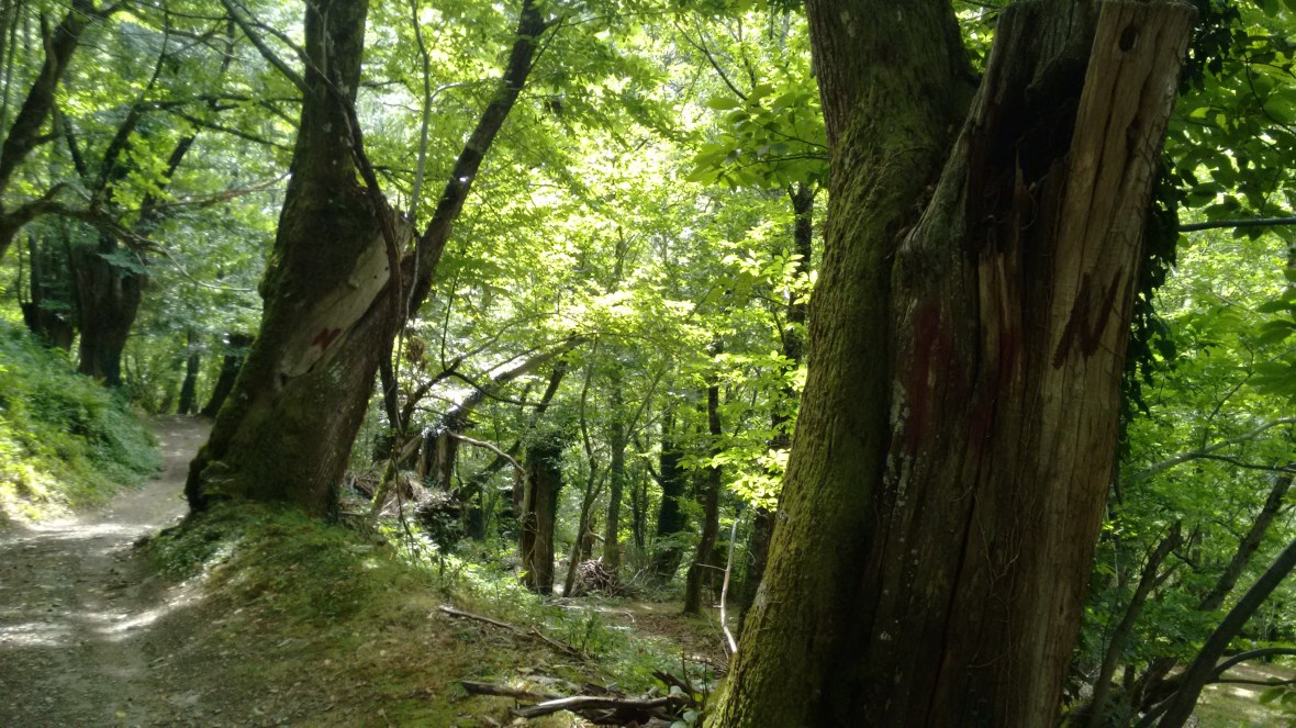 img_20160917_155438018