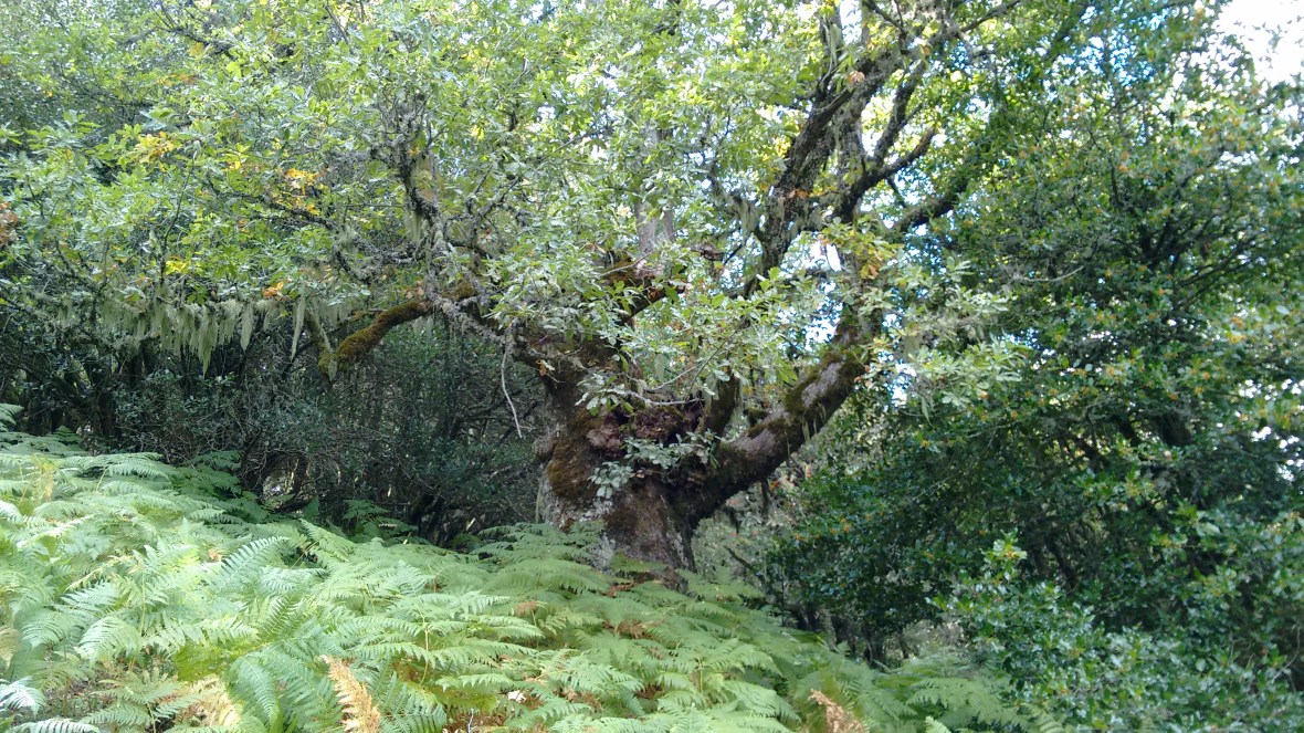 img_20161008_153034711