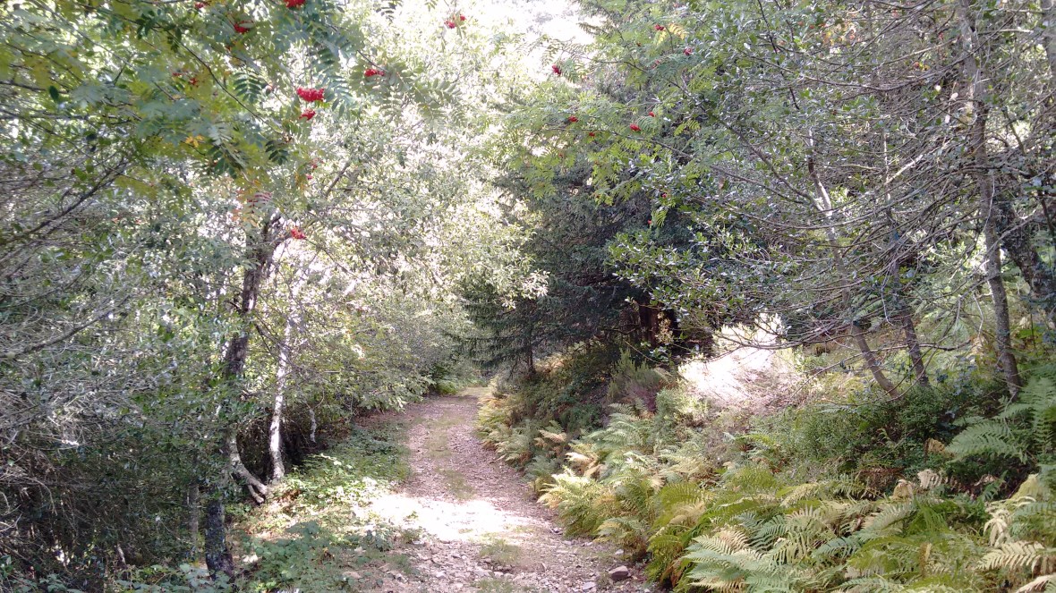 img_20161008_153252979