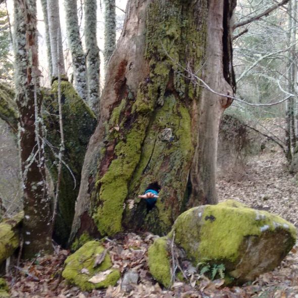 Man de defunto na caracocha