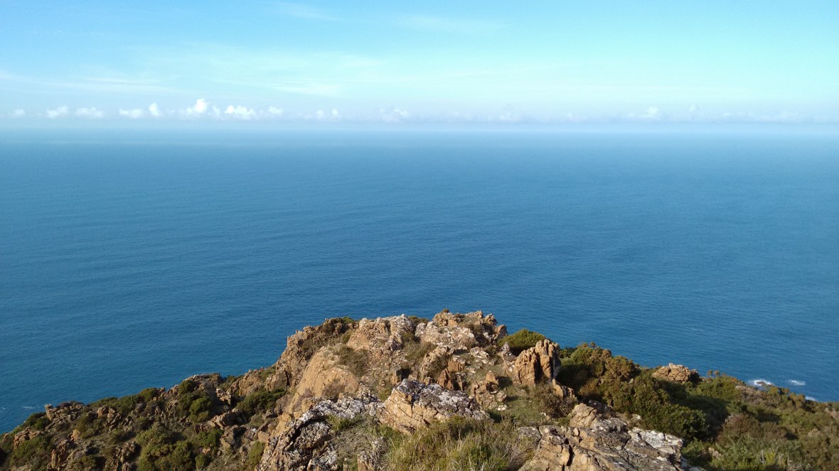 Carballeira enramada