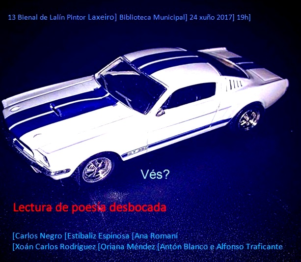 13 Bienal Lalín lectura