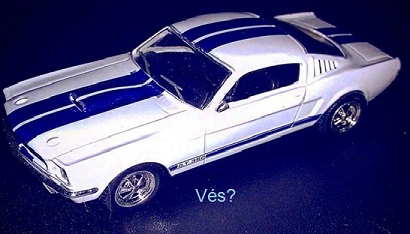 Mustang-ves