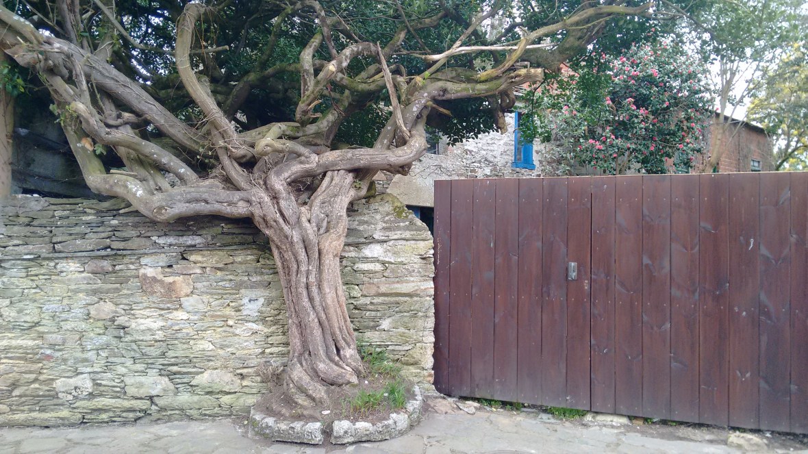 Despois de Iris baixei eu