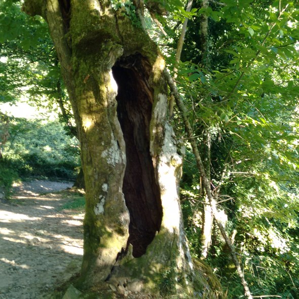 Urban dandi ou vagabundo de congostra