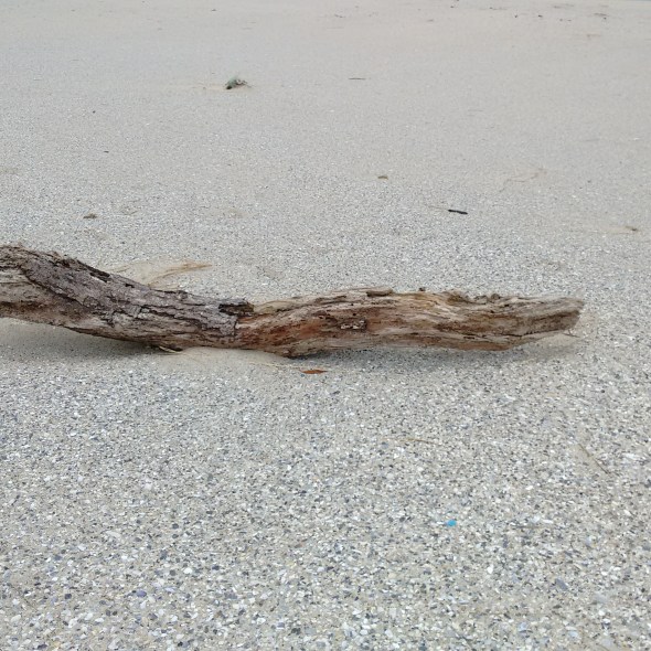 Liberdade condicional