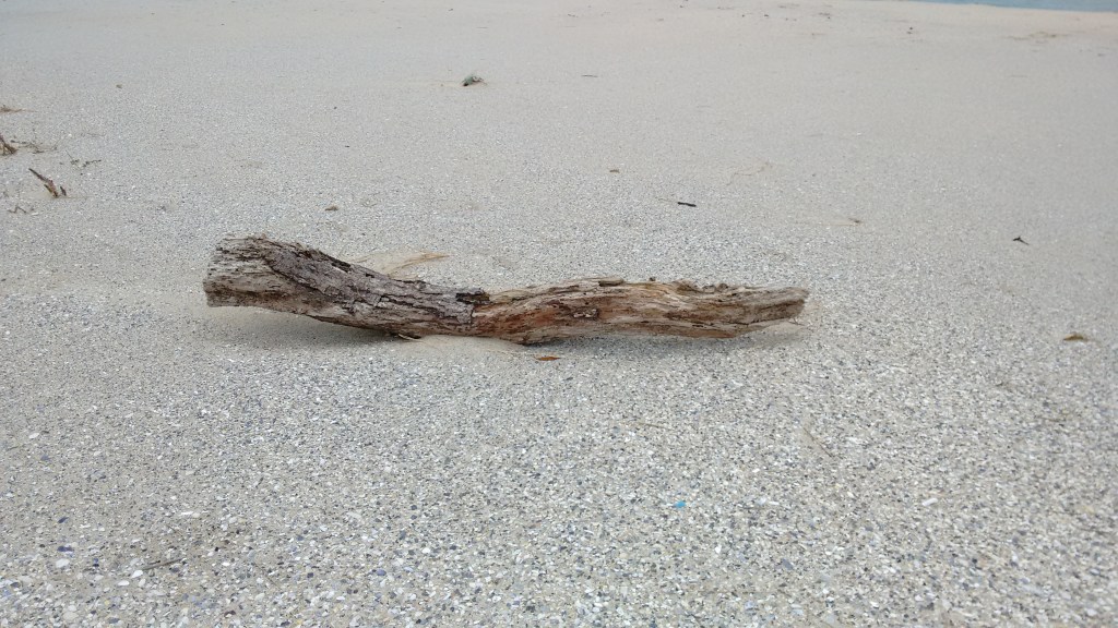 Liberdade condicional